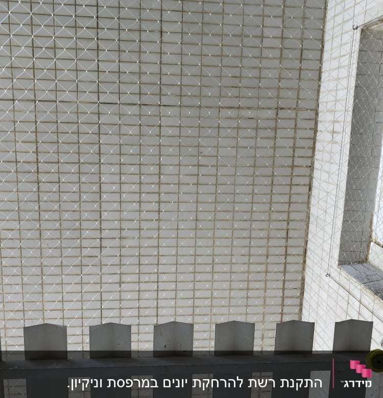 רשת למניעת כניסת יונים על חלון בניין
